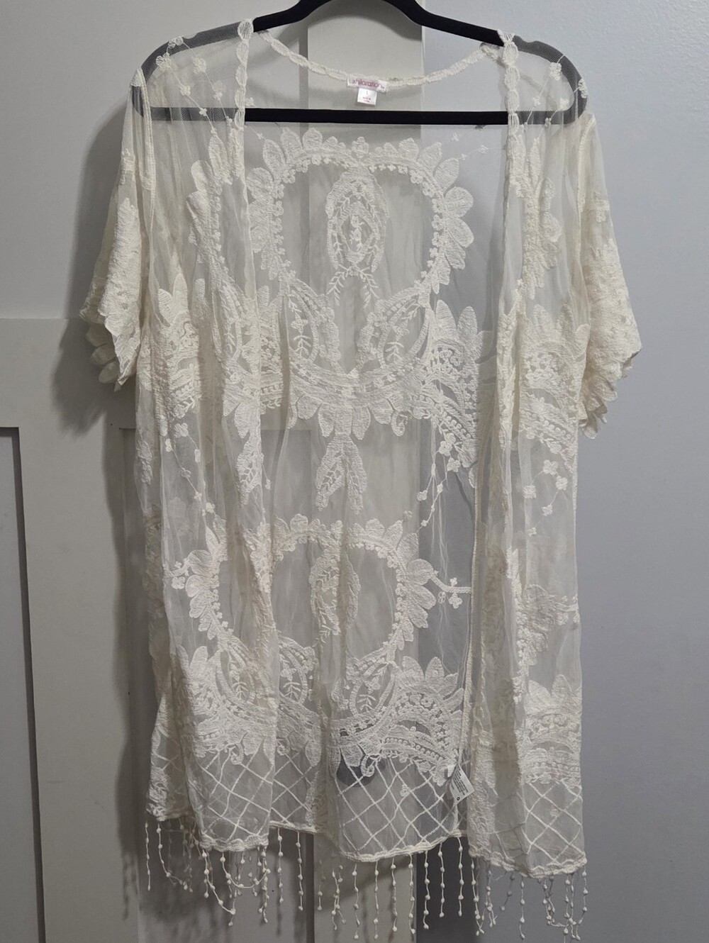 Xhilaration Cream Sheer Embroidered Lace Kimono